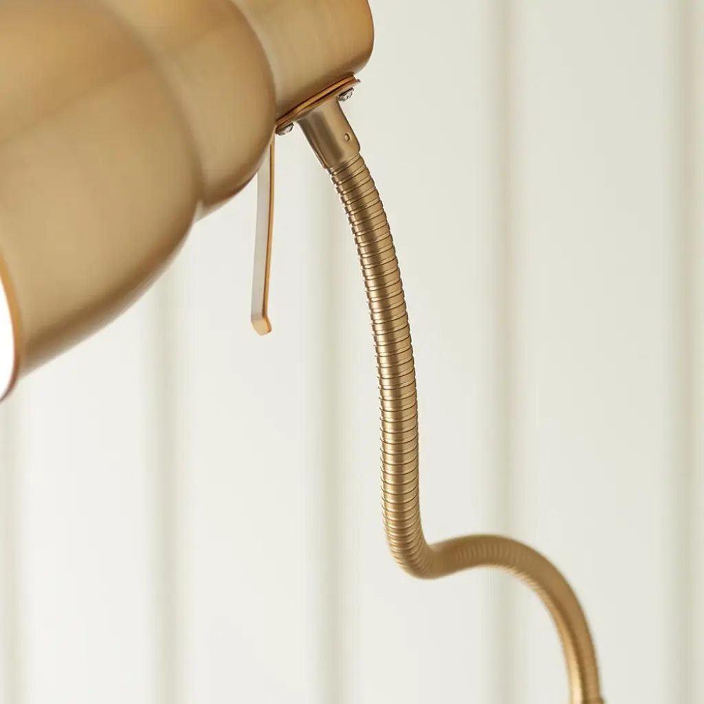 Classic Flexi Floor Lamp in Aged Brass