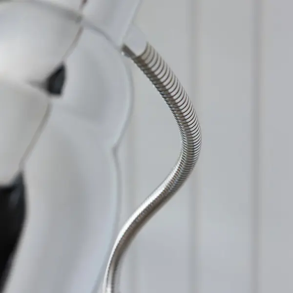 Classic Flexi Floor Lamp in Bright Nickel