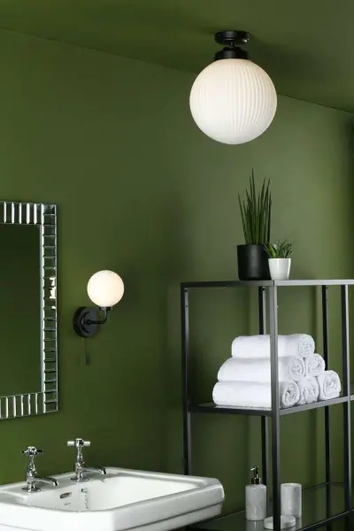 Alrik Bathroom Wall Light in Matt Black IP44