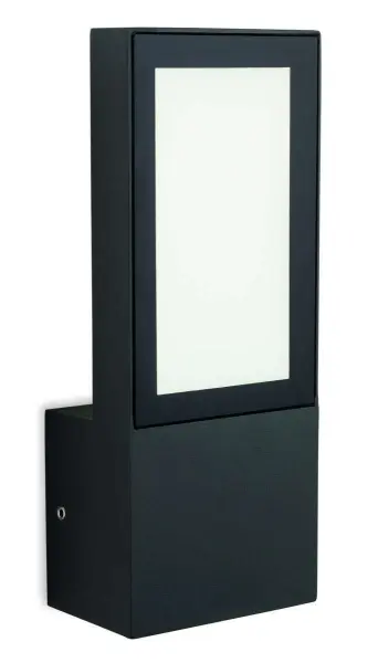 Gamay Outdoor Wall Light in Graphite Finish