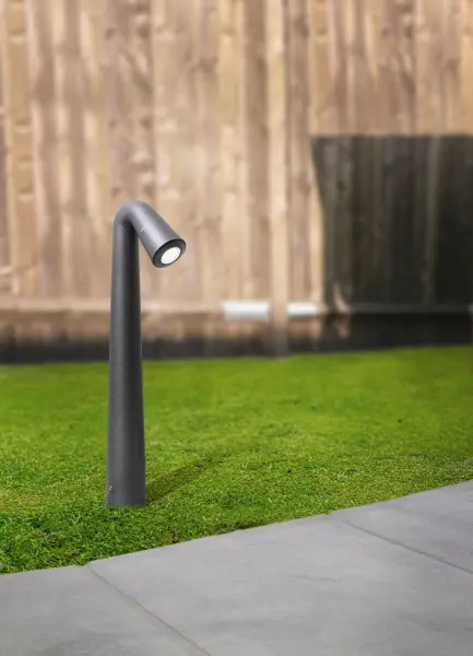 Steven Bollard in Black