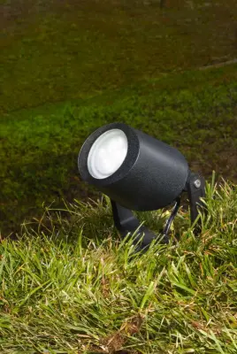 Mini Tommy Small LED Spike Floodlight