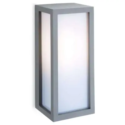 Minimalist Silver LED Outdoor Wall Light